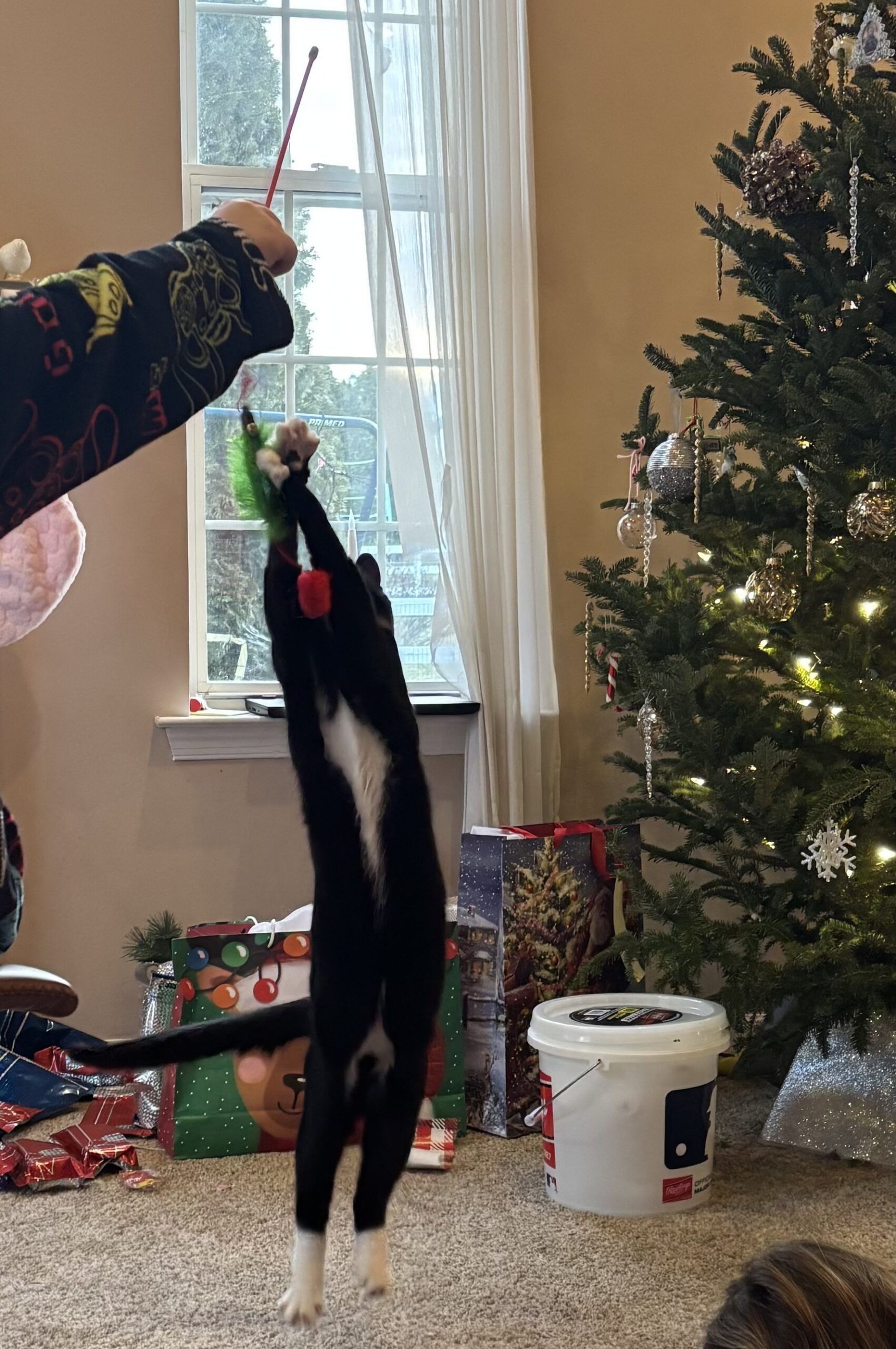 Atlas 3 mos postop Xmas day